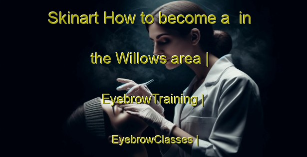 Skinart How to become a  in the Willows area | EyebrowTraining | EyebrowClasses | SkinartTraining-Canada